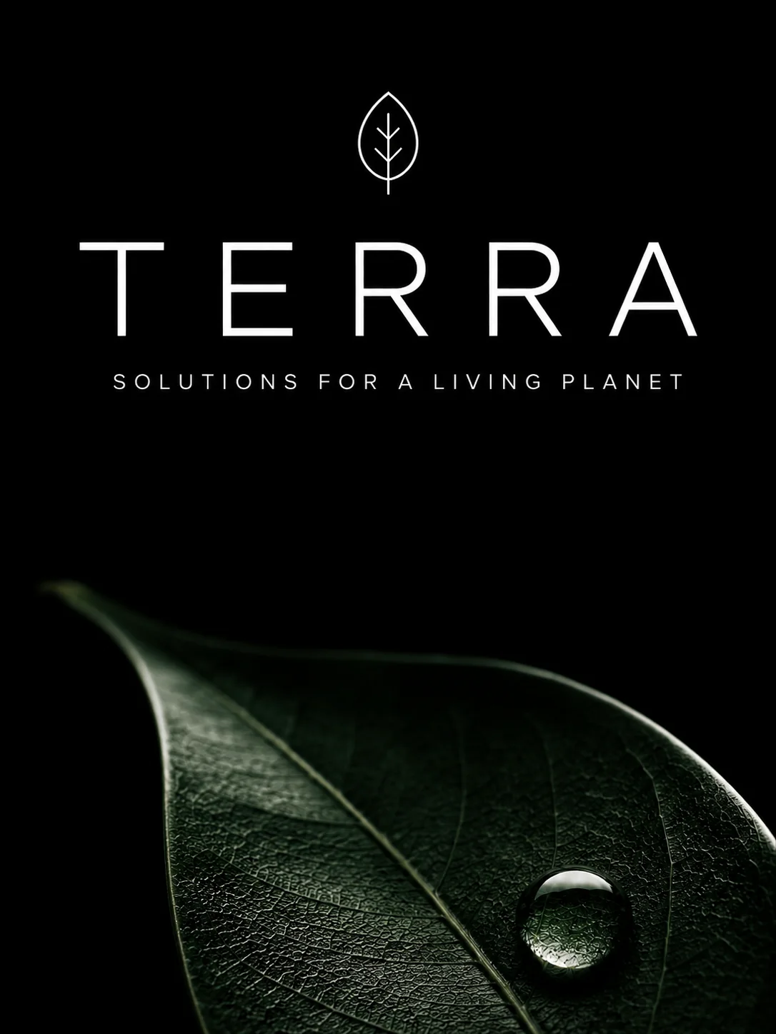 Branding et plateforme ClimateTech pour Terra
